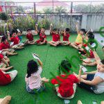 mầm non họa mi bình trị đông a