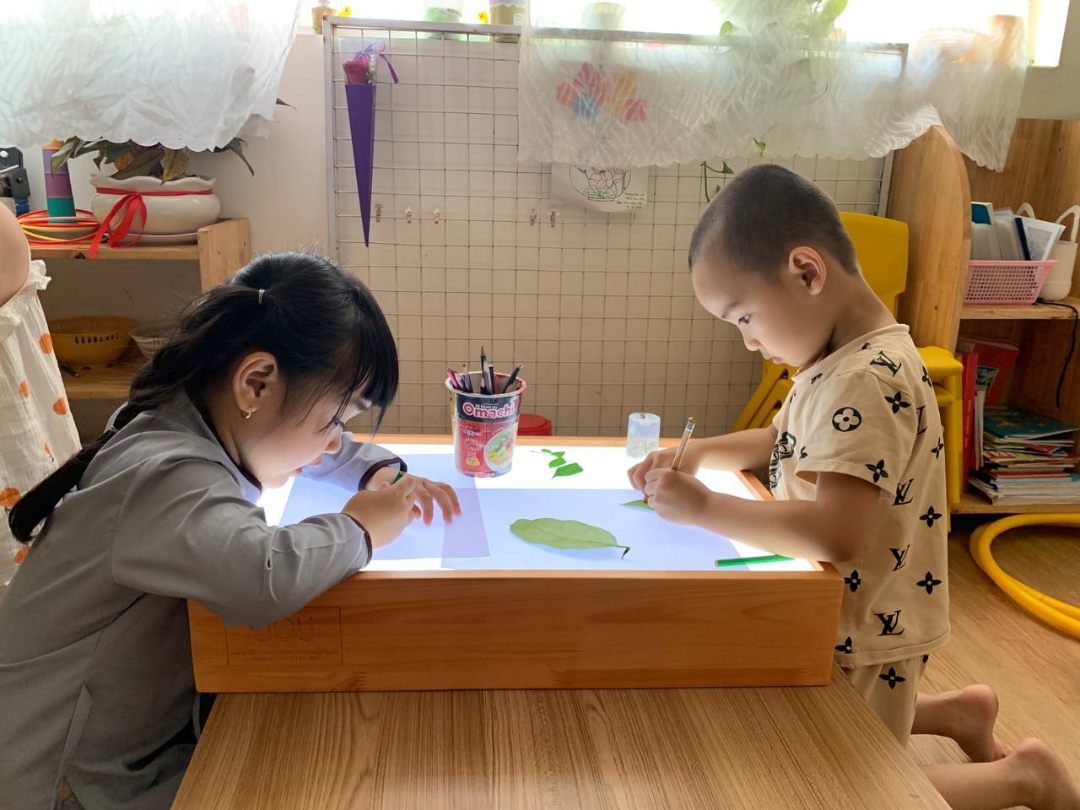 Mầm Non Hoa Sen Nhỏ ( Little Lotus Kindergarten ) có tốt không