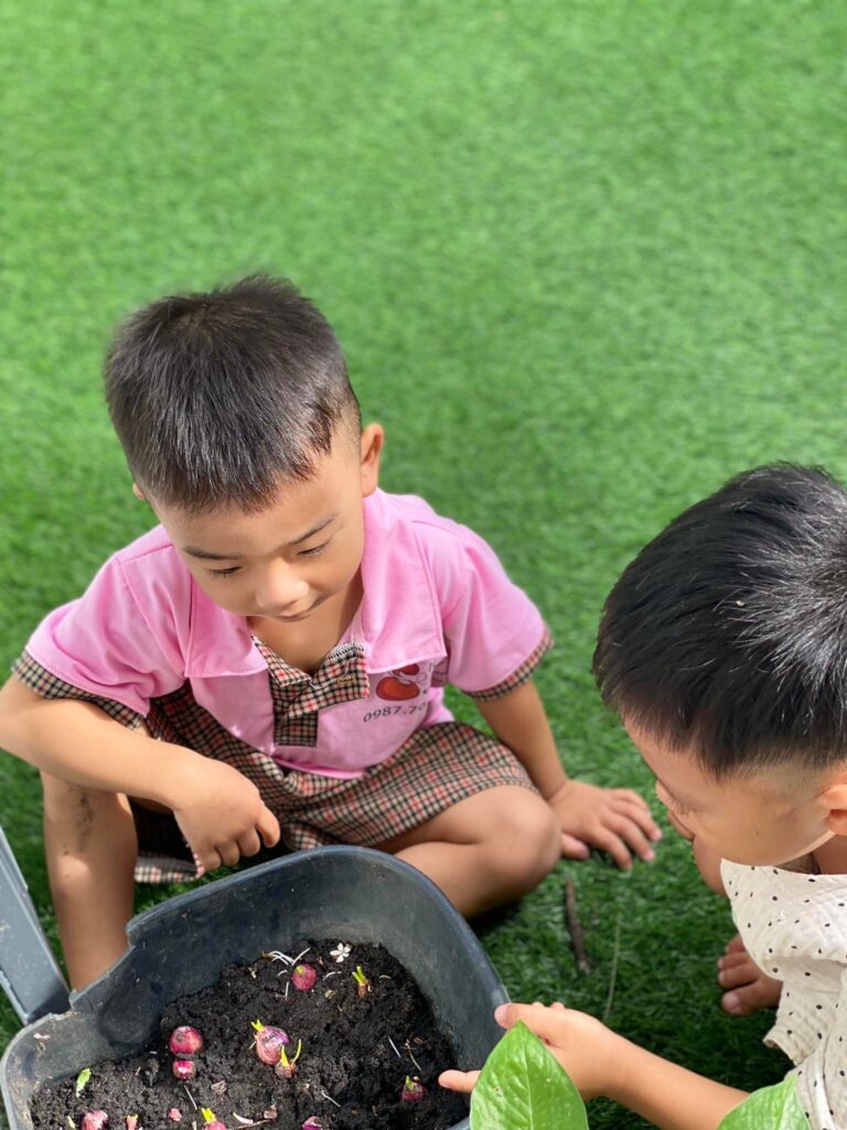  Mầm non Hạt Giống – Thuận An có tốt không