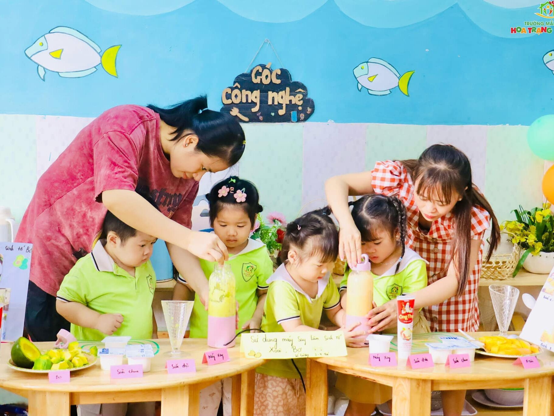 Trường mầm non Hoa Trạng Nguyên - Chương Mỹ có tốt không?