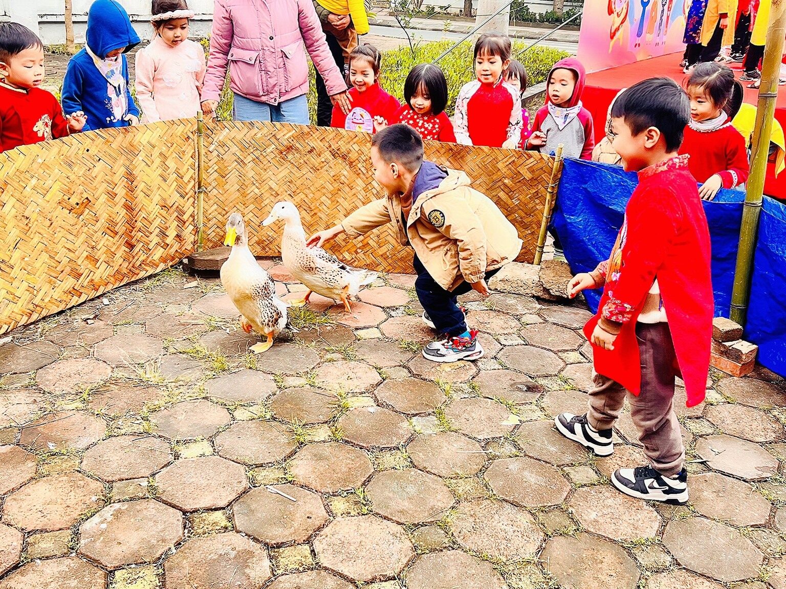 Trường Mầm Non Hoa Hồng Đỏ - Tây Mỗ có tốt không?