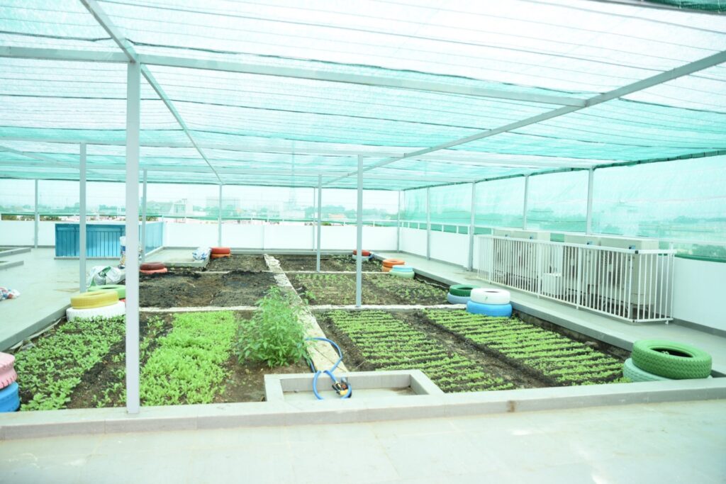 Trường mầm non Phú Đông Lotus Kindergarten