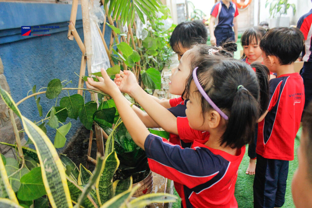 Trường Mầm non Song Ngữ Việt Anh - VBBS Nguyễn Chí Thanh có tốt không?