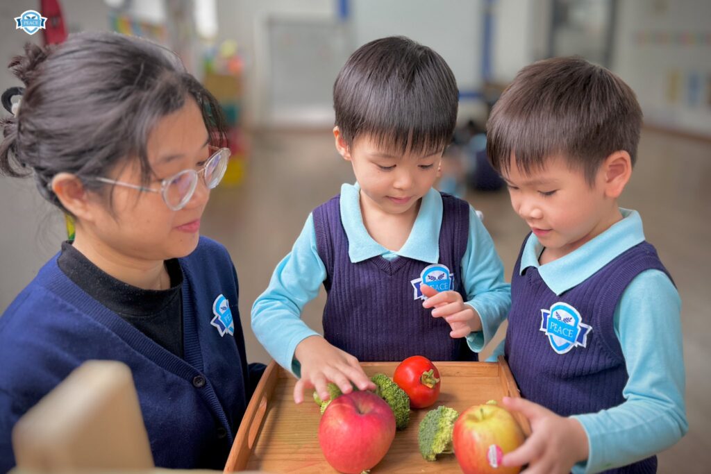 Trường Mầm Non Peace School - Trung Hòa có tốt không?