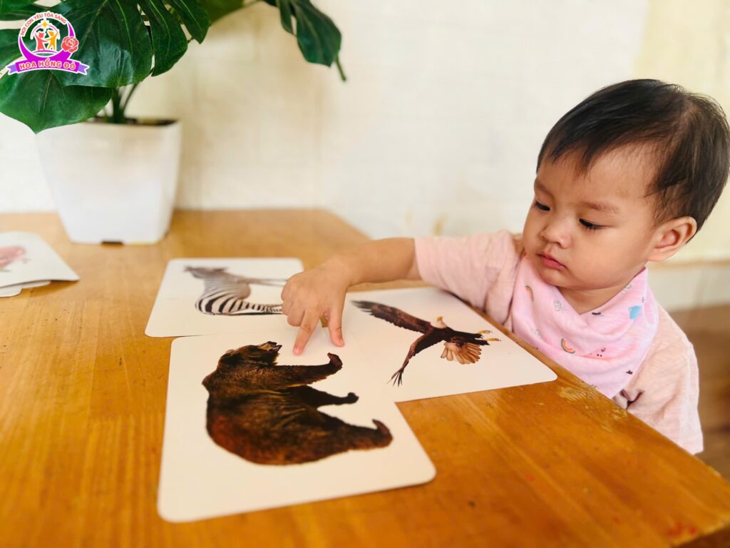 Trường Mầm Non Hoa Hồng Đỏ - Tây Mỗ có tốt không?