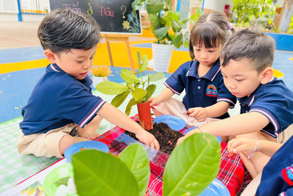 Hoạt động khám phá