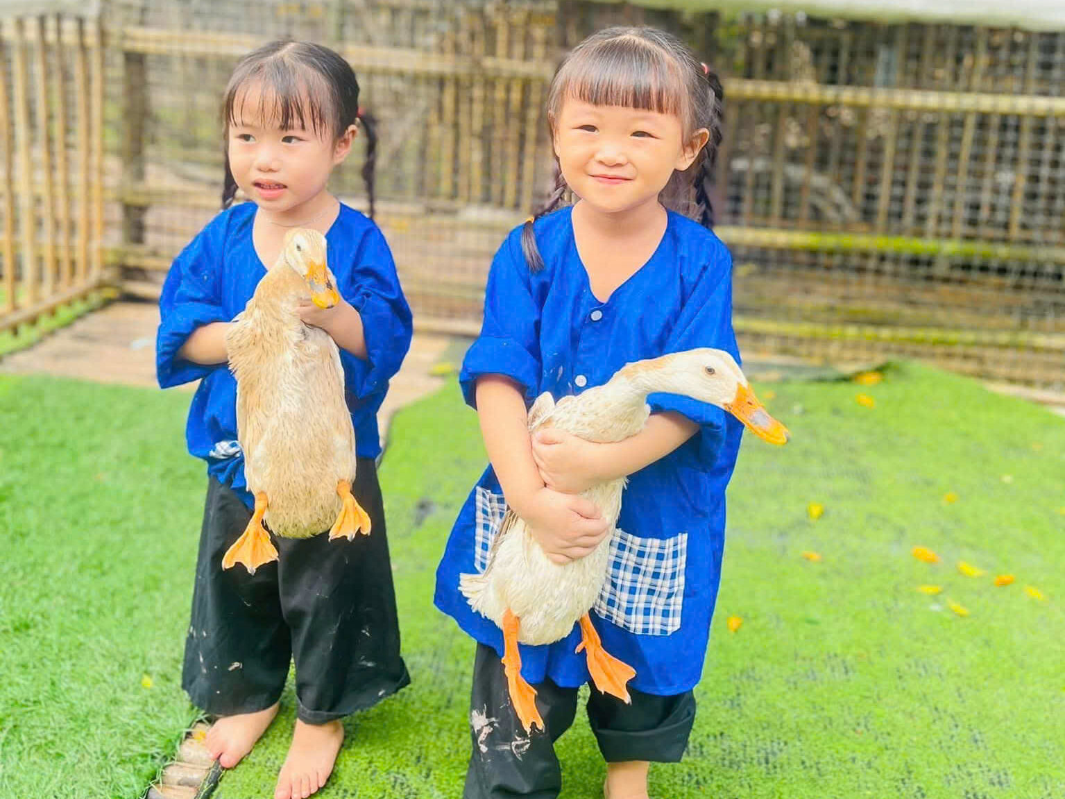 Các hoạt động trải nghiệm