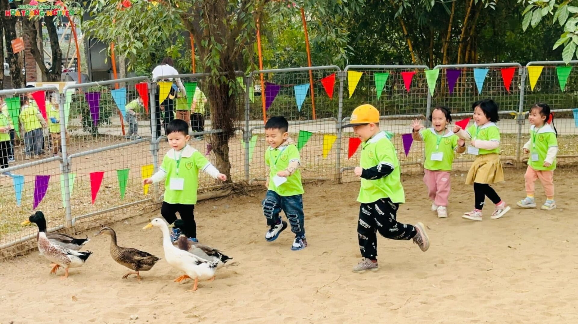 Trường Mầm non Hoa Trạng Nguyên